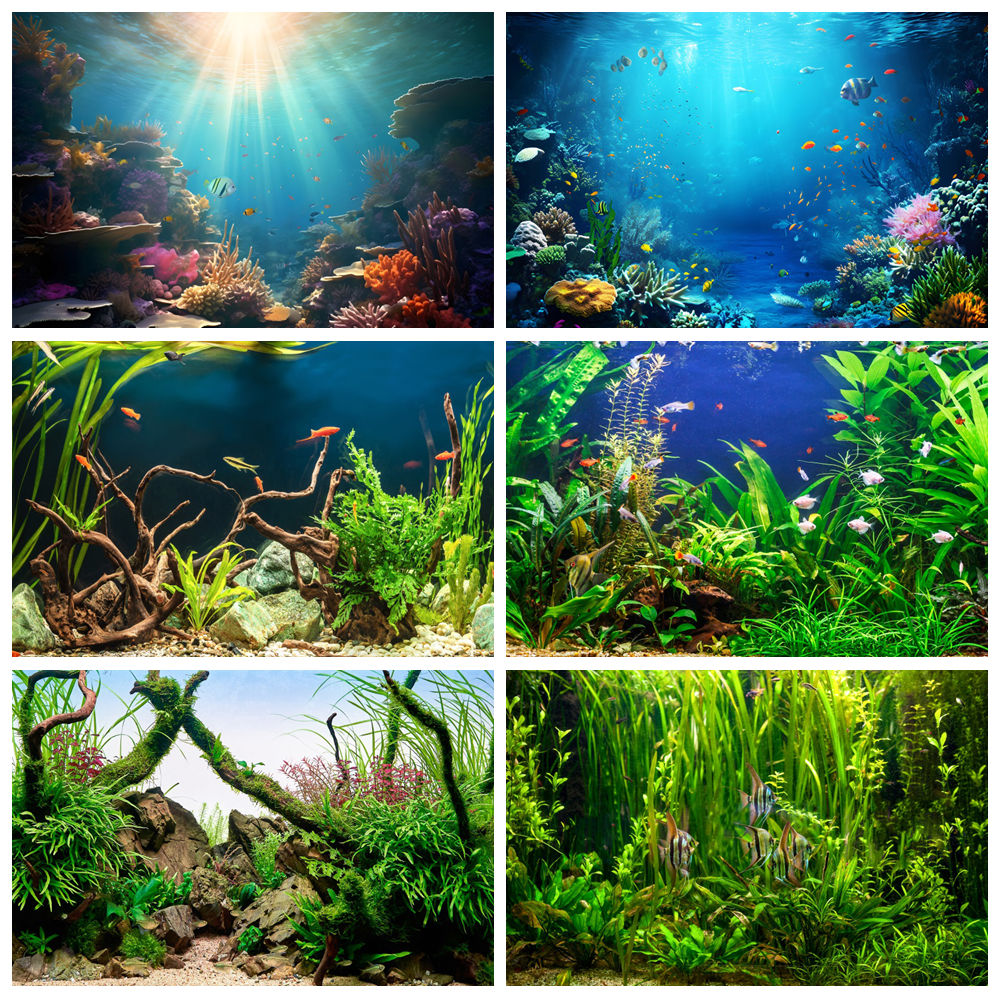 Aquarium Marine World - Deniz Altında Deniz Dibi Dünya Fotoğraf