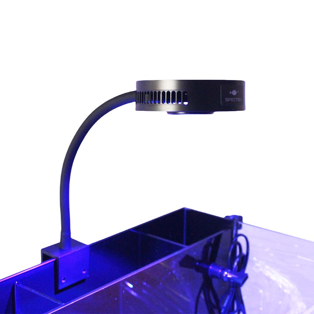Reef Lighting - Aquaknight V2 Deniz Resif Işığı 36W