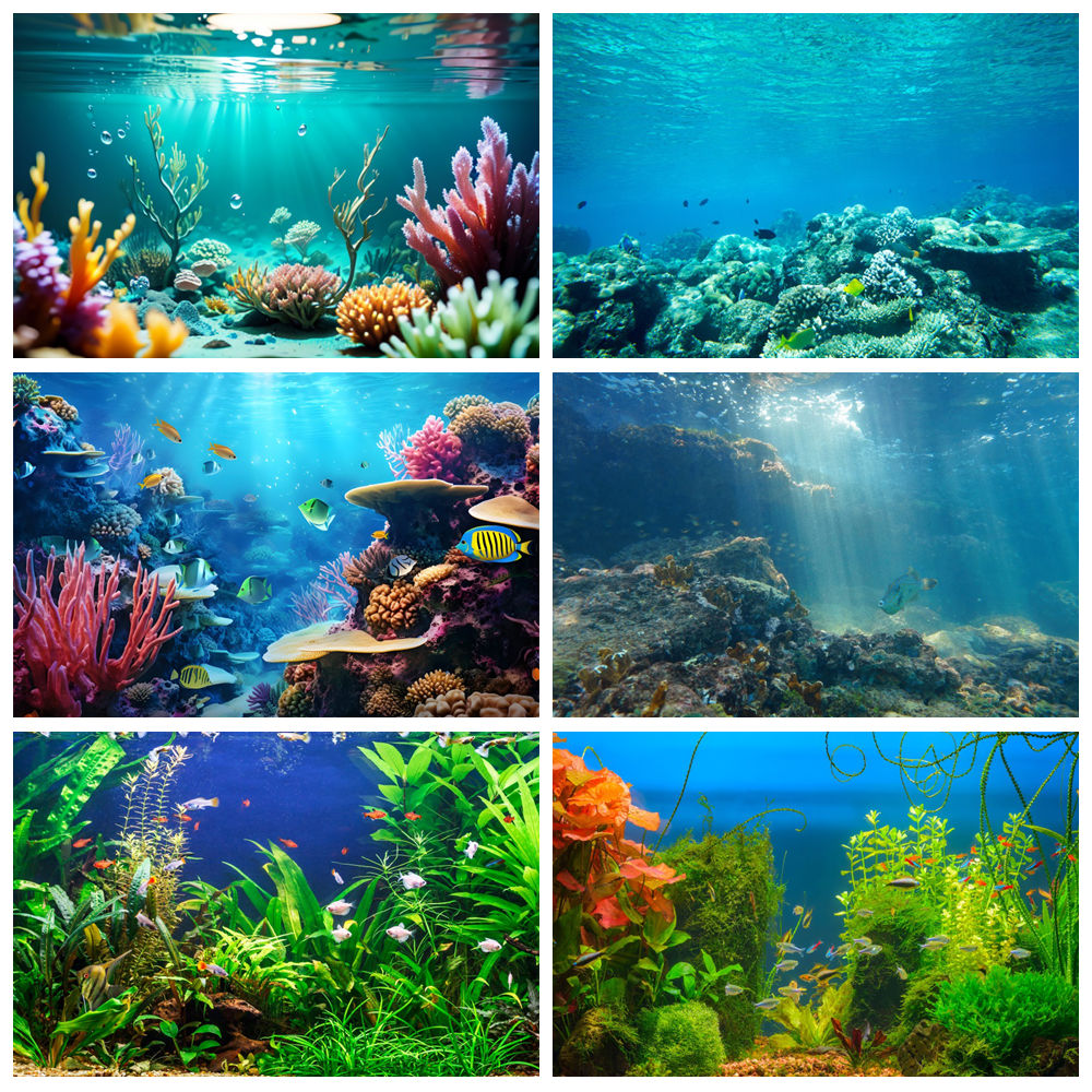 Aquarium Marine World - Sualtı Dünyası Deniz Tabanı Fotoğrafçılığı Arka