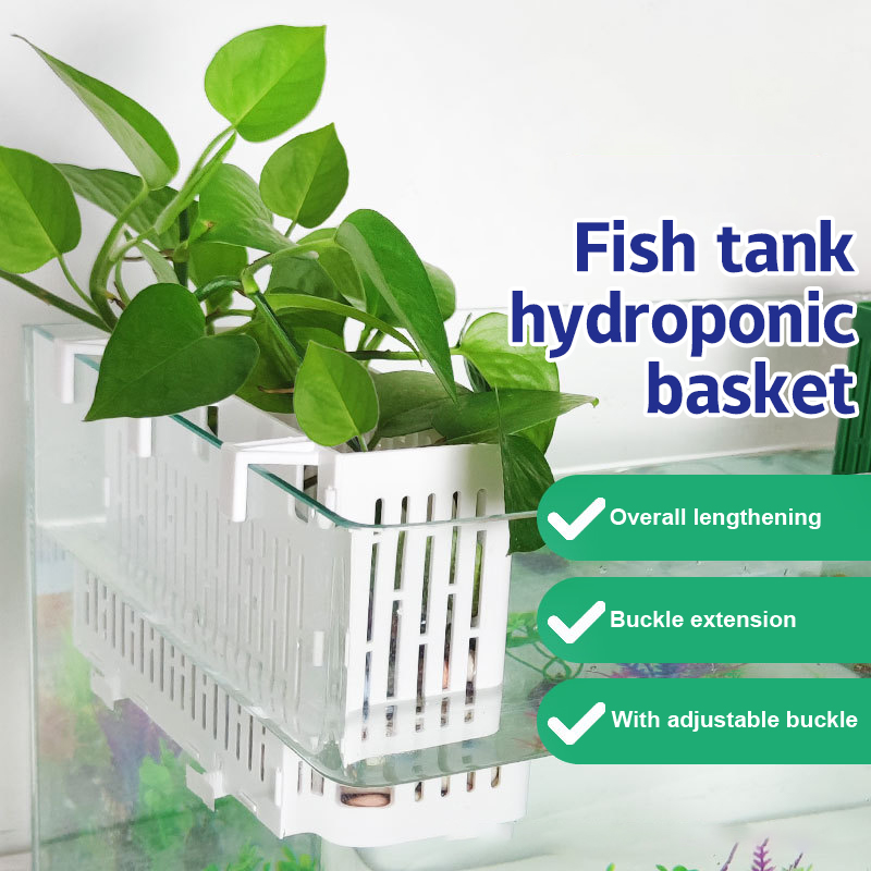 Marine Aquarium - Balık Tankı Asılı Saksı Su Bitkisi