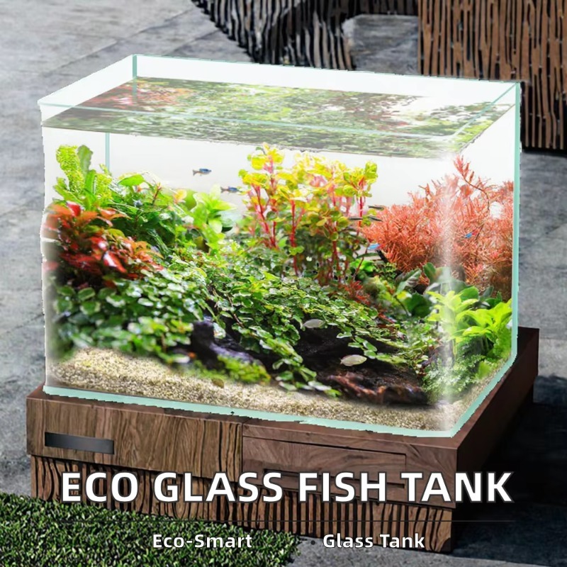 Kutu Paketleme Masaüstü Akvary - Saltwater Tank incelemesi ve fiyatı
