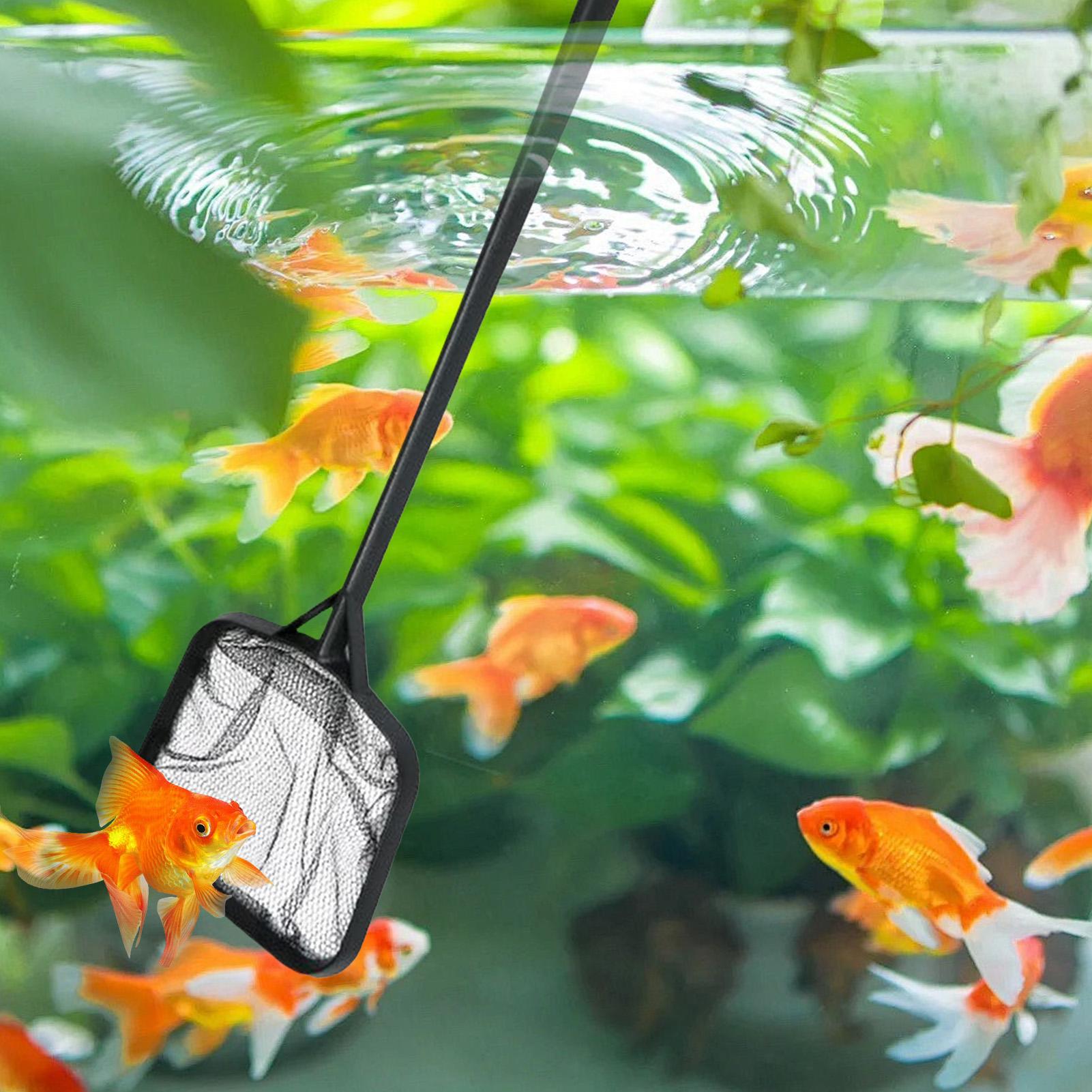 Havuz Temizleme Ağları Taşınab - Ocean Aquarium incelemesi ve fiyatı