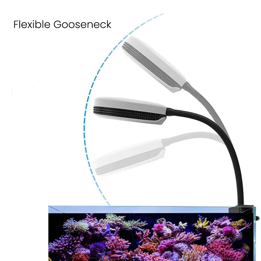 Spectra SP20 20W Akvaryum LED  - Reef Lighting incelemesi ve fiyatı
