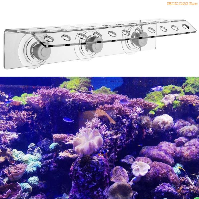 Akvaryum için K1AE Akrilik Mer - Reef Aquarium incelemesi ve fiyatı