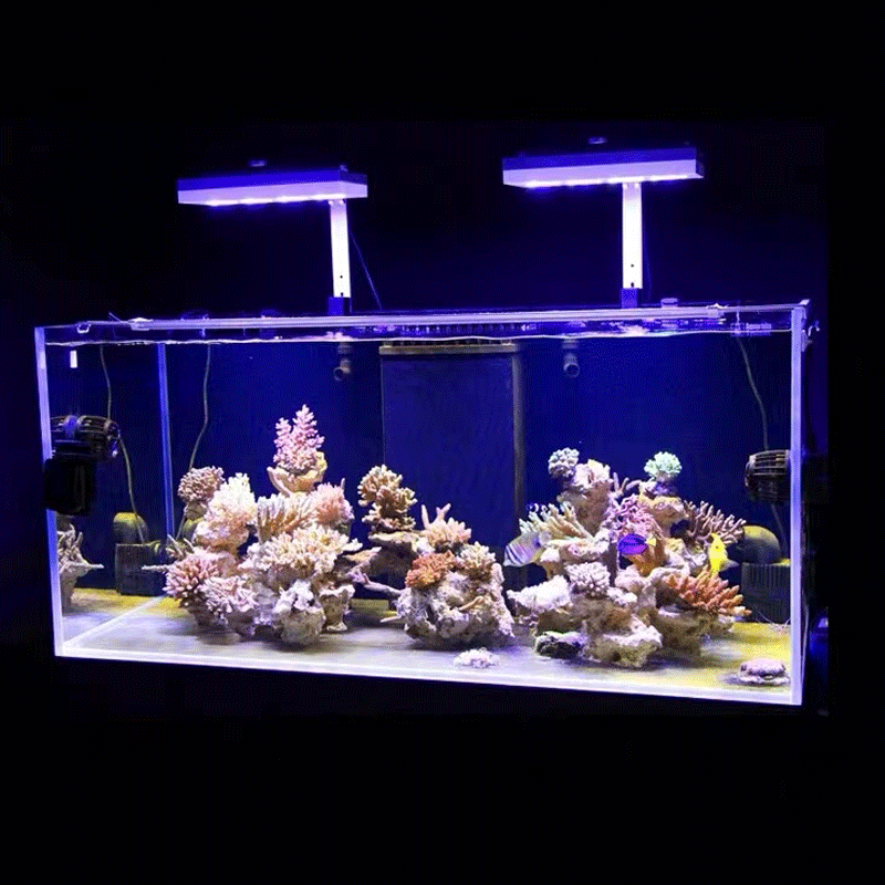 Aqua Illumination AI Hydra 32H - Reef Lighting incelemesi ve fiyatı
