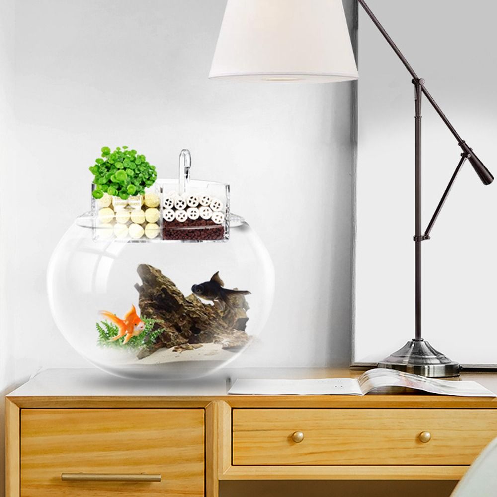 3'ü 1 Arada Harici Filtre Kutu - Reef Tank Filter incelemesi ve fiyatı
