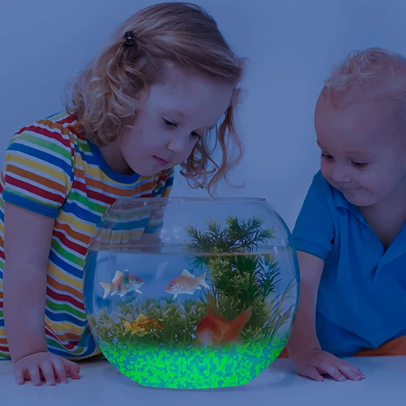 1000 adet 3-5mm aydınlık kum k - Ocean Aquarium incelemesi ve fiyatı