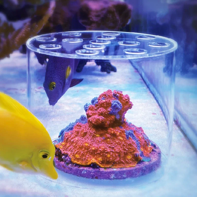 Vastocean Akvaryum Akrilik Mer - Reef Aquarium incelemesi ve fiyatı