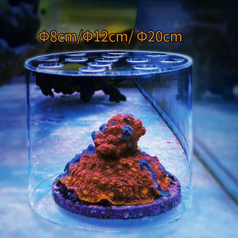 Vastocean Akvaryum Akrilik Mer - Reef Aquarium incelemesi ve fiyatı