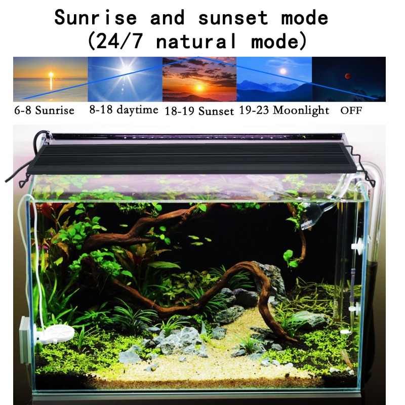 LED Balık Tankı Lambası Tam Sp - Reef Lighting incelemesi ve fiyatı