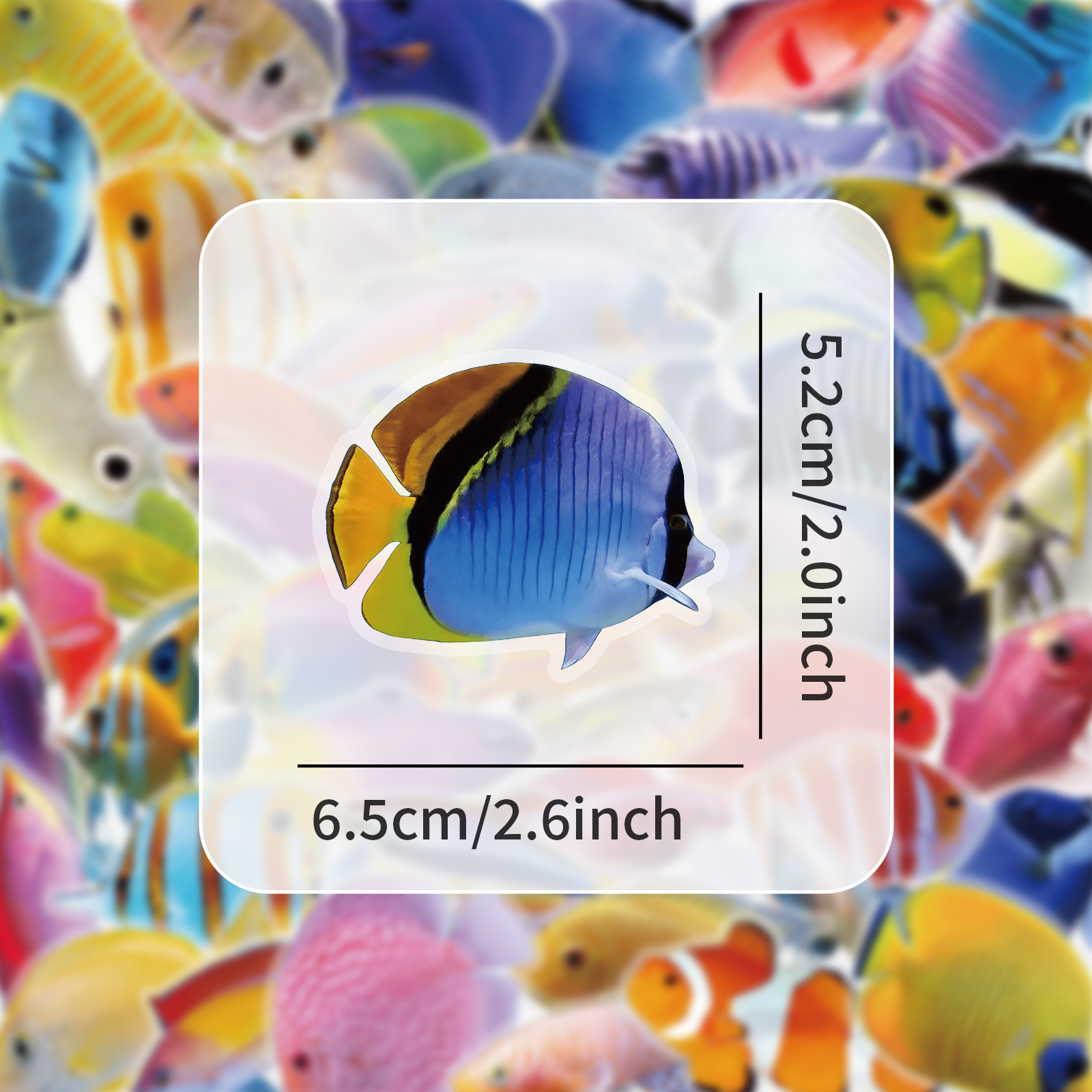 50-100 adet şeffaf PET mercan  - Marine Coral incelemesi ve fiyatı