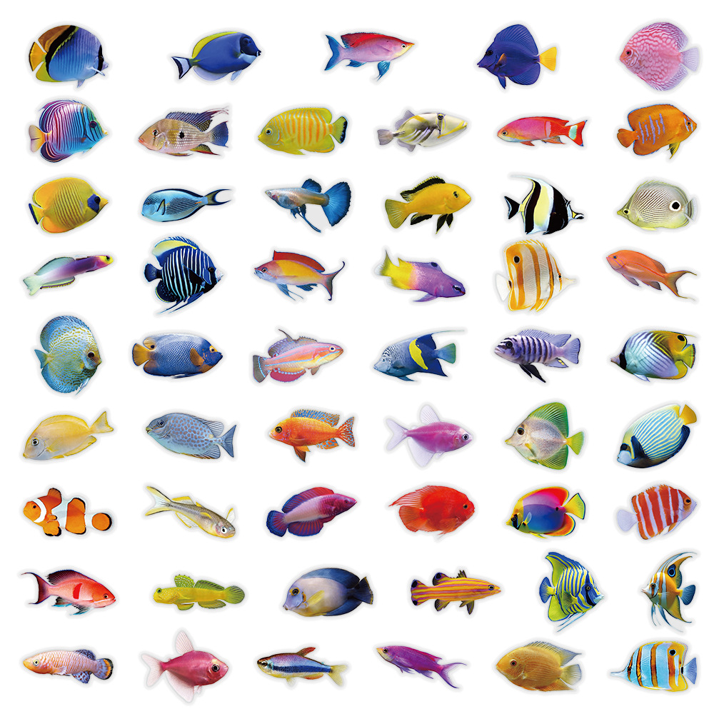 50-100 adet şeffaf PET mercan  - Marine Coral incelemesi ve fiyatı
