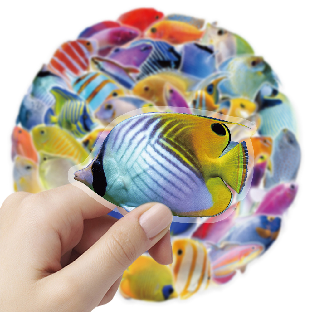 50-100 adet şeffaf PET mercan  - Marine Coral incelemesi ve fiyatı
