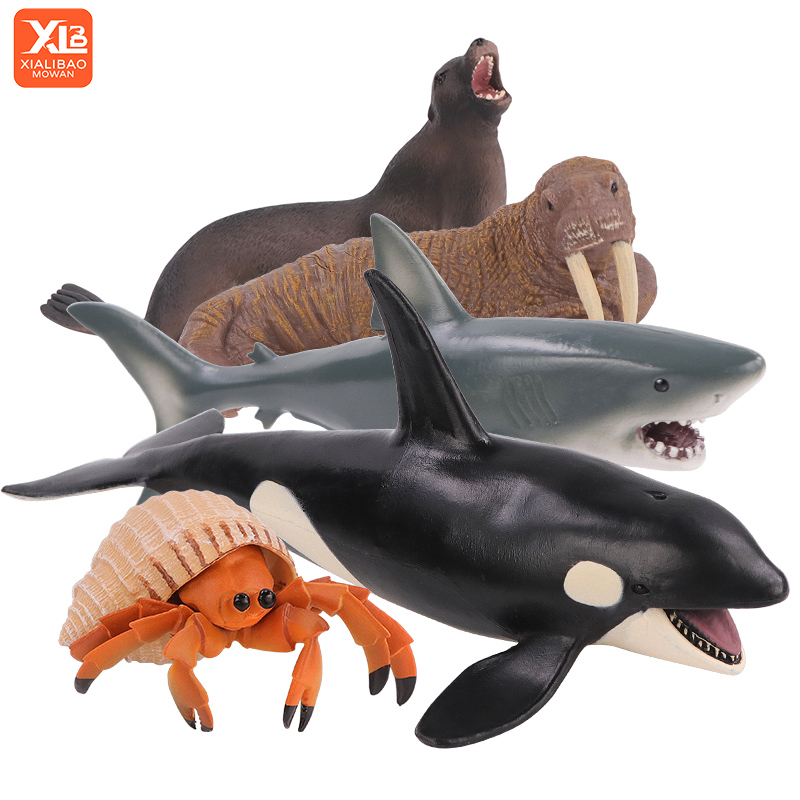 Deniz Yaşamı Sualtı Dünyası PV - Aquarium Marine World incelemesi ve fiyatı