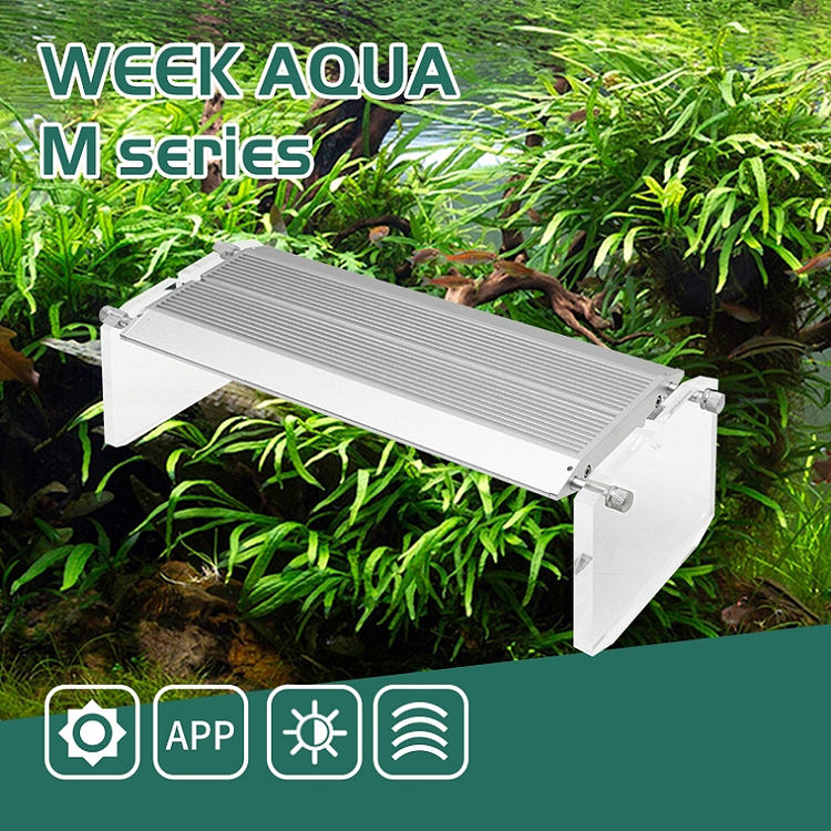 WEEK AQUA Akvaryum Deniz Merca - Reef Lighting incelemesi ve fiyatı