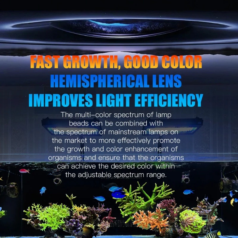 A8Pro II Max Mercan Kayalığı D - Reef Lighting incelemesi ve fiyatı