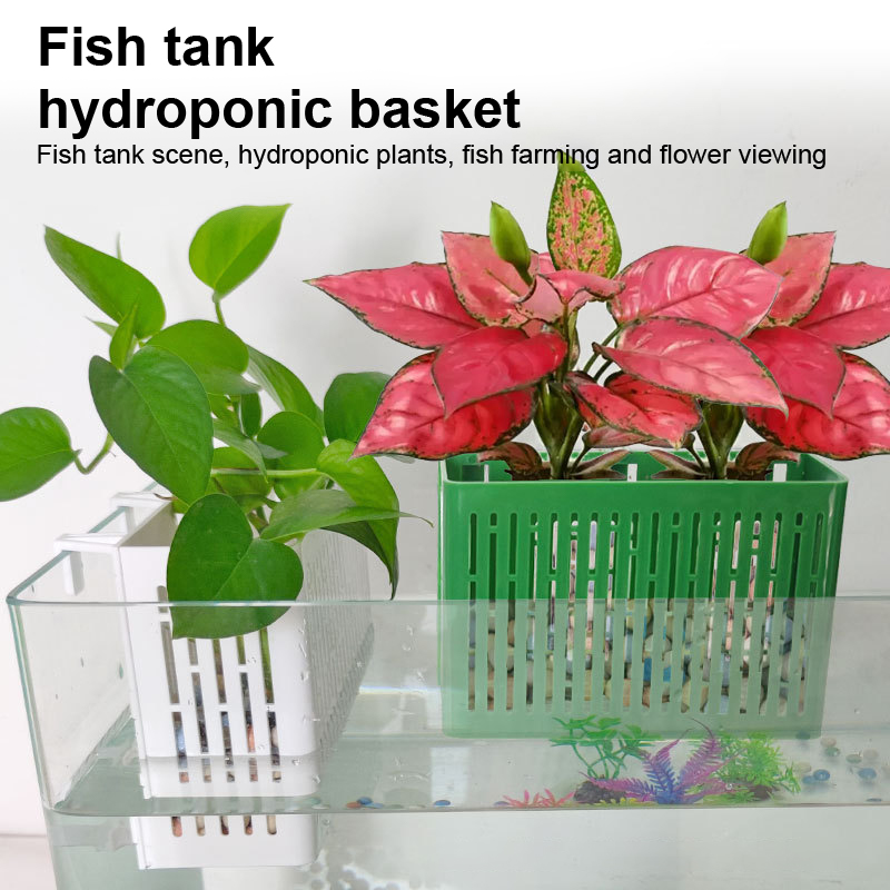 Balık Tankı Asılı Saksı Su Bit - Marine Aquarium incelemesi ve fiyatı